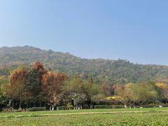 -八卦田遗址公园