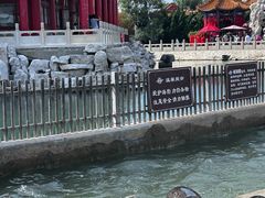 -蓬莱阁景区