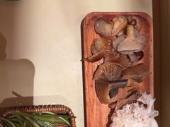 -芸鲜季·云南野生菌餐厅· 云南风物味研社(闵行店)