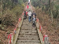 -江西阳明山国家森林公园