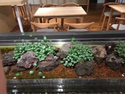 -悦诗风吟innisfree