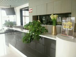 点击看大图 -巴黎春天·菀纱仙庭婚纱美学