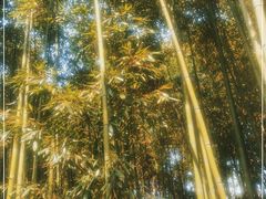 -苏州河梦清园环保主题公园