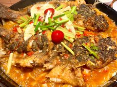 -老板恋上鱼(恒隆广场店)