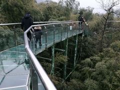 -陶祖圣境风景区