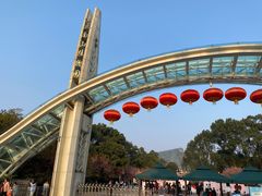 -南山植物园
