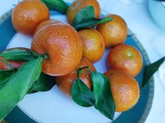 -黄牛肉馆·皖南土菜