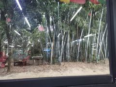 -丰依竹食·老牌竹筒饭