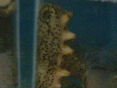 -宾朋海鲜特色美食餐厅·纯手工鲅鱼水饺(兴海路店)