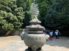 -灵谷景区