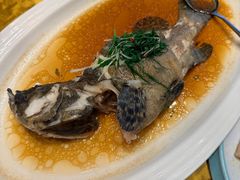-新海利海鲜城·41年珠海老字号(夏湾店)