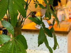 -Line 咖啡(石厦花园店)