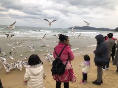 -海云台海滩