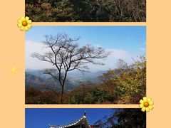 -广州市石门国家森林公园