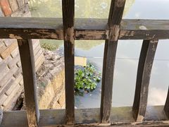 -韩湘水博园