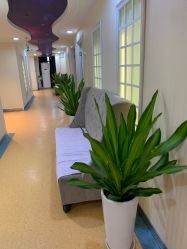 -安徽合肥韩美整形外科医院