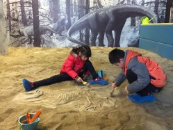 -恐龙探索乐园(磁器口店)