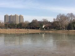 -堤角公园