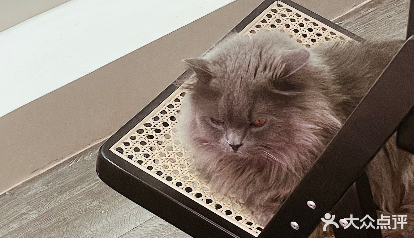 |101coffee 治愈空间