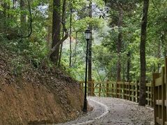 -广州市流溪河国家森林公园