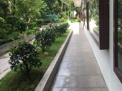-天河体育中心游泳馆