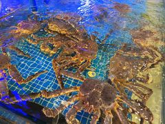 -驻海渔市(置信店)