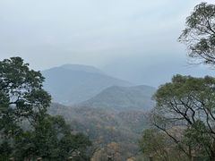 -青城山