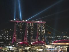 -新加坡瑞士史丹福酒店