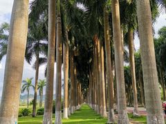 -南宁花花大世界景区