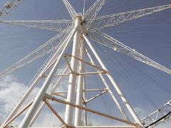 -石家庄市植物园