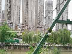 -成都市活水公园