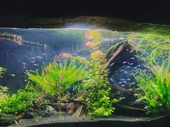 -上海海洋水族馆