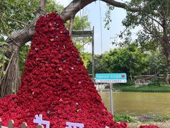 -深圳野生动物园