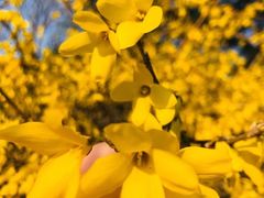 -河南省黄河迎宾馆