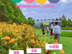 -前小桔亲子创意农场·草莓采摘·露营烧烤