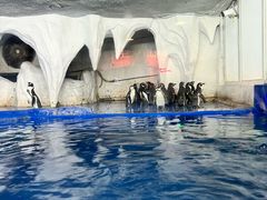 -太平洋海底世界