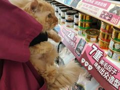 -美联众合爱康动物医院•复杂内科•肿瘤科•牙科•腔镜诊疗中心