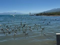 -青海湖二郎剑景区