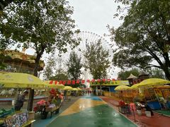 -南昌之星游乐场