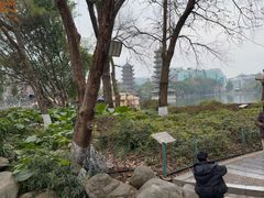 -桂林两江四湖景区