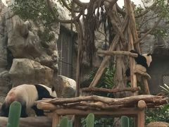 -香港海洋公园