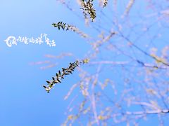 -红山会健身·普拉提(广安门店)