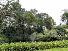 -广州兰圃