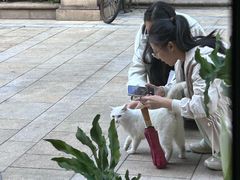 -富贵面包公司(运河店)