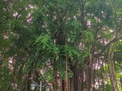-乌山风景区