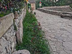 -云丘山景区