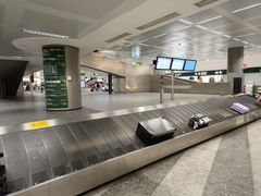 -米兰马尔彭萨国际机场