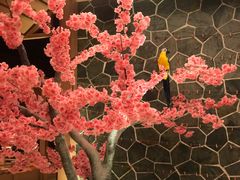 -蓝鲸湾汤泉(包河店)