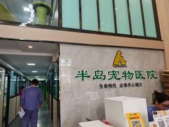-半岛宠物医院24小时(科华中路店)