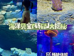 -沈阳海洋探索中心